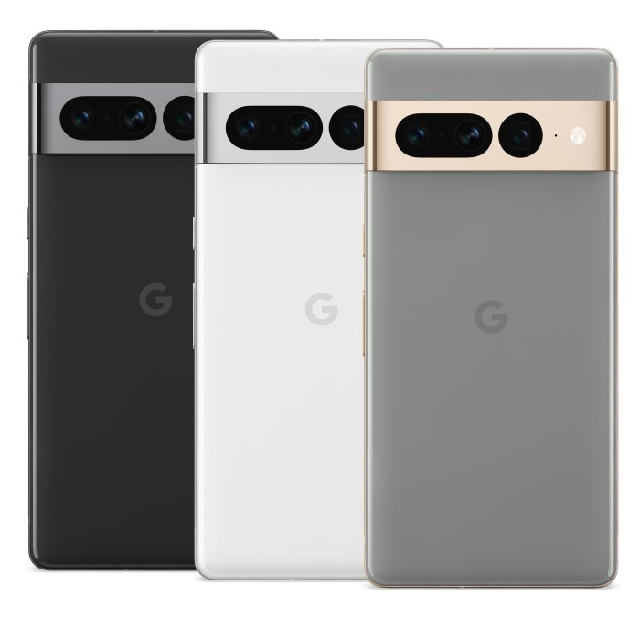 Pixel Watch design options