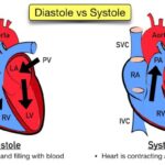ECG Waveform Explained: EKG Labeled Diagrams And Components, 43% OFF Apple Watch ECG functionality