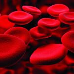 One Apple Free Stock Photo - Public Domain Pictures Apple Watch blood oxygen sensor