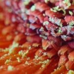 DIY Smartphone Macro Photography - Pixabay Smartphone macro photography
